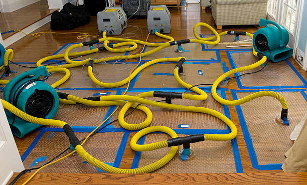 Professional Structural Drying And Dehumidification technician working in Hamburg, MN